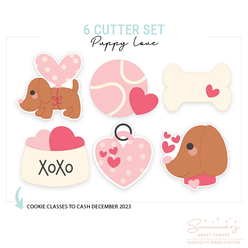 Valentine Love Cookie Class (CC2C) Set of 5 Cookie Cutters
